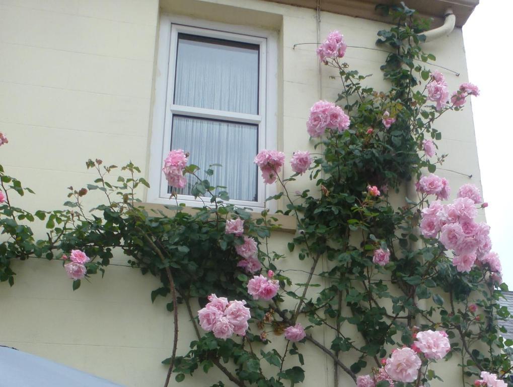 Bayview Guest House Saint Helier Jersey Exterior foto
